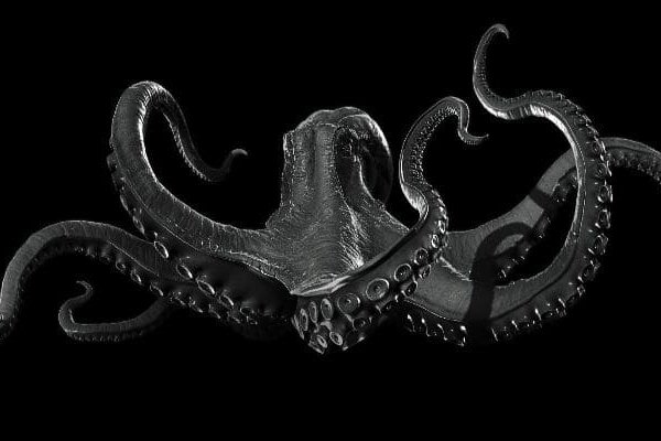 Kraken даркнет переходник