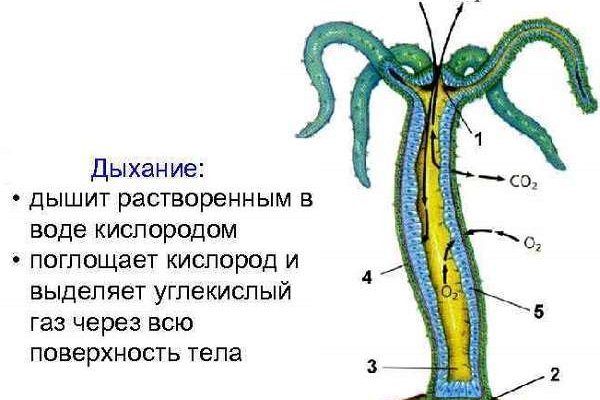 Кракен сайт 13at