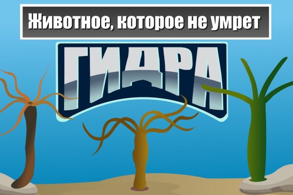 Кракен адрес сайта